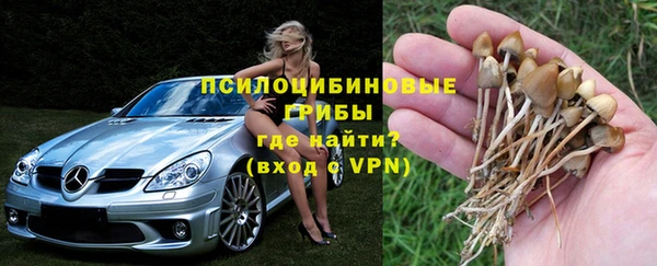 mdma Зеленокумск