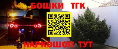 спиды Краснодар