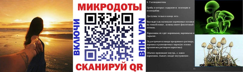 Галлюциногенные грибы прущие грибы  Касимов 