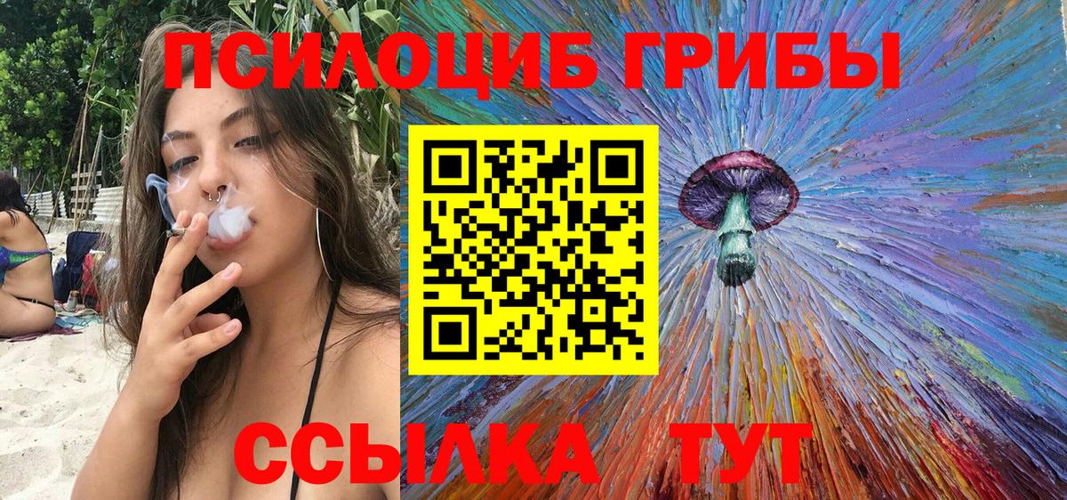 Галлюциногенные грибы Psilocybe  Вход с VPN  Касимов 