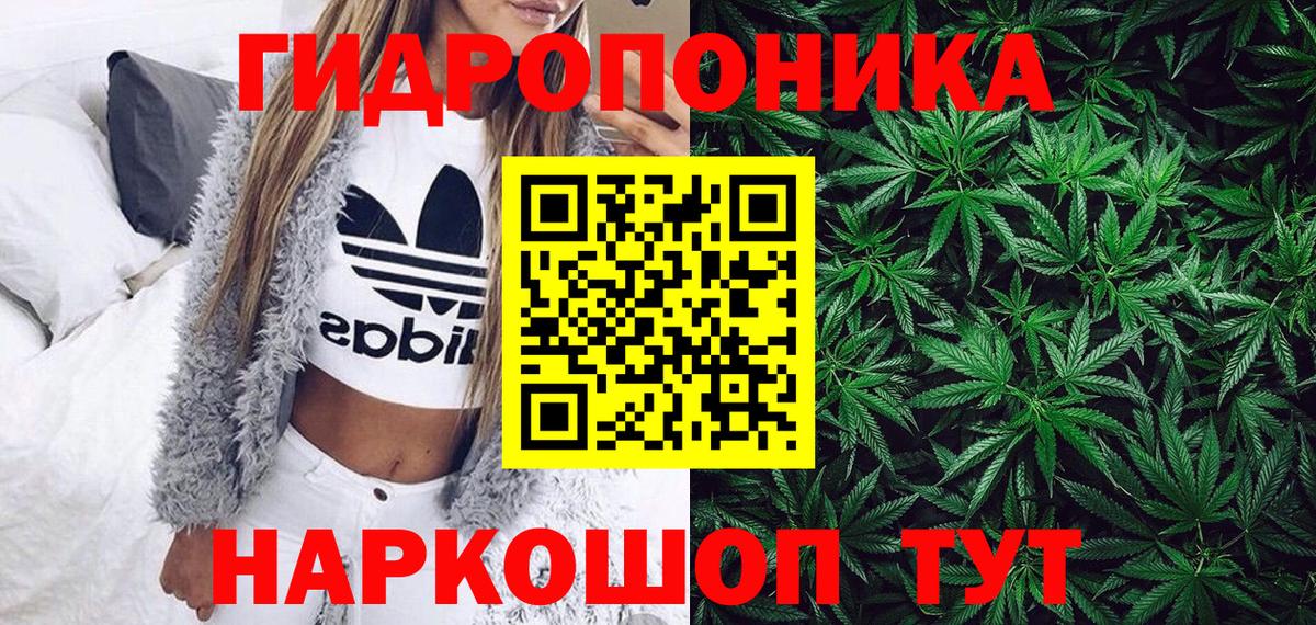 Каннабис OG Kush Касимов